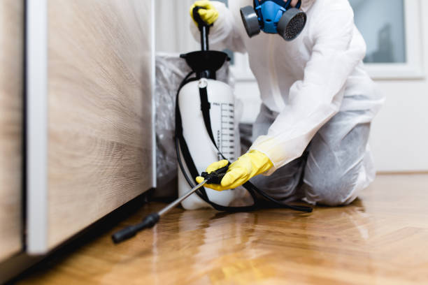 Best Wasp Removal Services  in Archie, MO