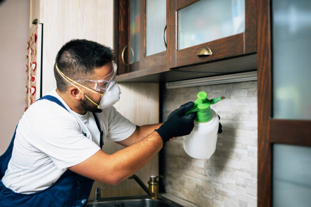 Best Affordable Pest Control Services  in Archie, MO