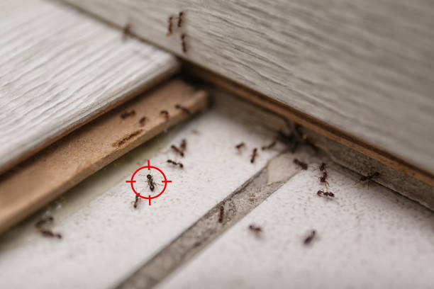 Archie, MO Pest Control Company