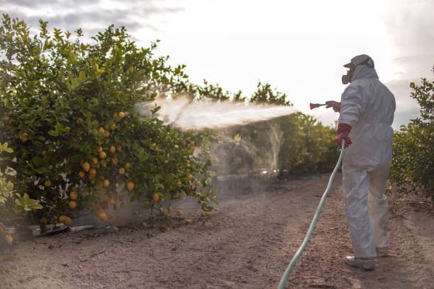 Best Pest Control for Restaurants  in Archie, MO