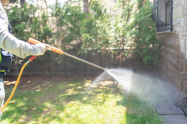 Best Flea Control Services  in Archie, MO